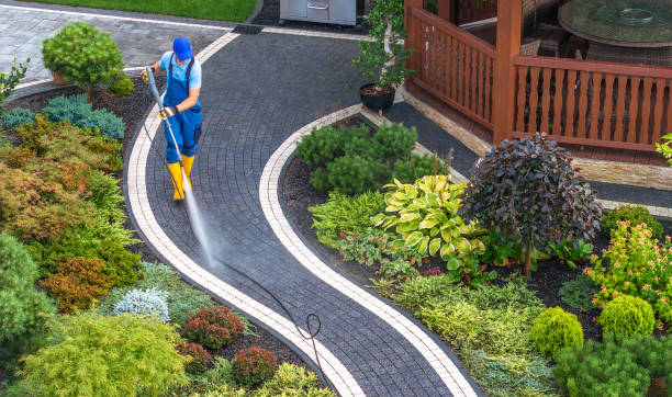 Local Pressure Washing Services in Franklin, GA